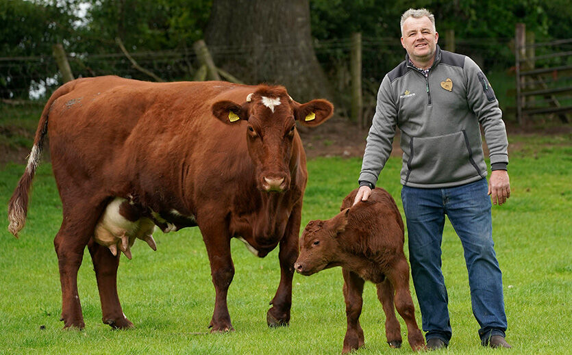 Artikelbild Morrisons macht Rindfleisch nachhaltiger