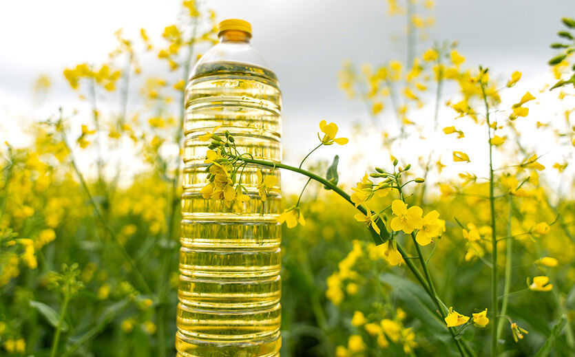 Artikelbild Neues Programm für nachhaltiges Rapsöl