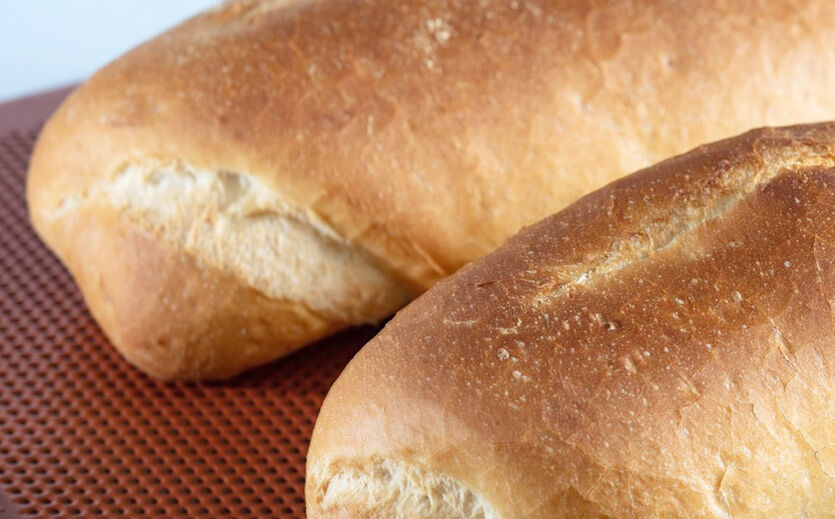 Artikelbild Brenntag und Lallemand gehen Partnerschaft ein