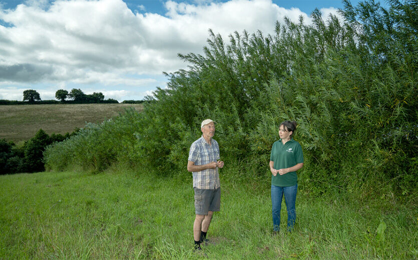 Artikelbild Sainsbury’s startet Agroforst-Initiative
