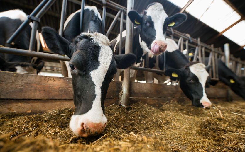 Minister und Verbände ringen um Kompromisse