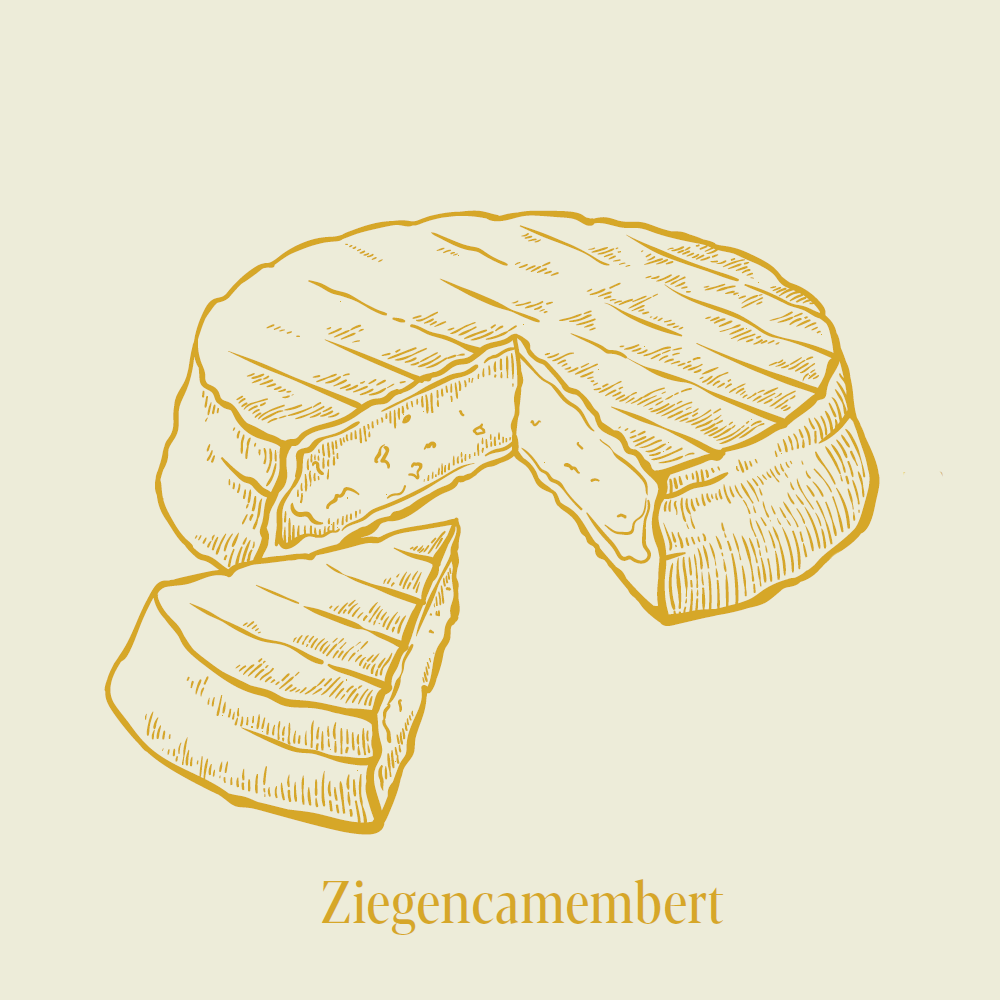 Der Weichkäse mit Edelpilz weist leichte Pilznoten auf. Harmonisiert gut mit fruchtigen Weißweinen. 