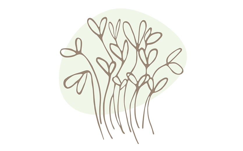 Artikelbild So können Händler Microgreens gezielt für Cross-Selling und Kundenbindung einsetzen