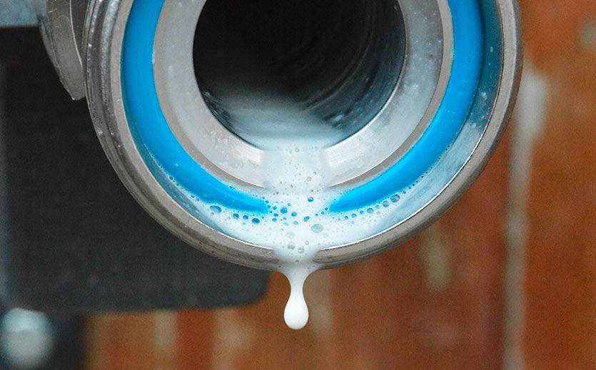 Artikelbild Biomilch boomt – aber Deutschland muss sie importieren