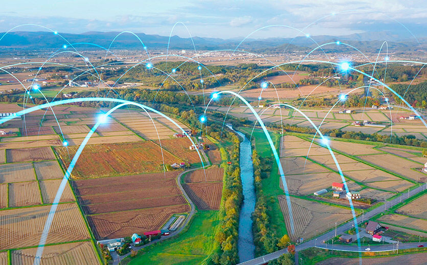 Wenn Biodiversität den Kreditzins senkt