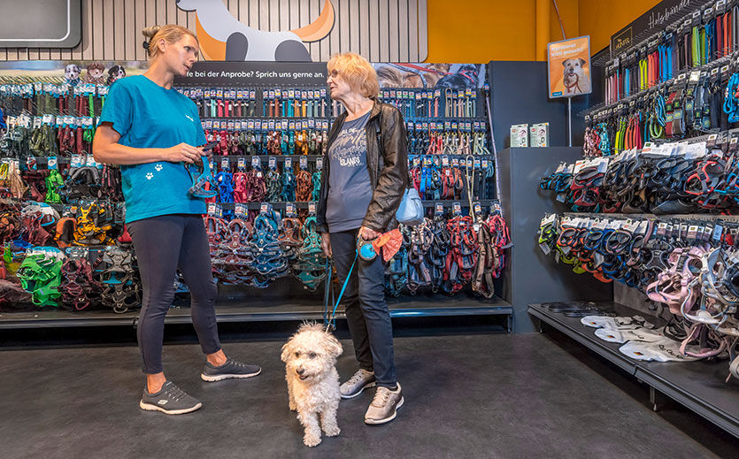Verkaufsgespräch bei Zoo-Royal für ein Hundegeschirr