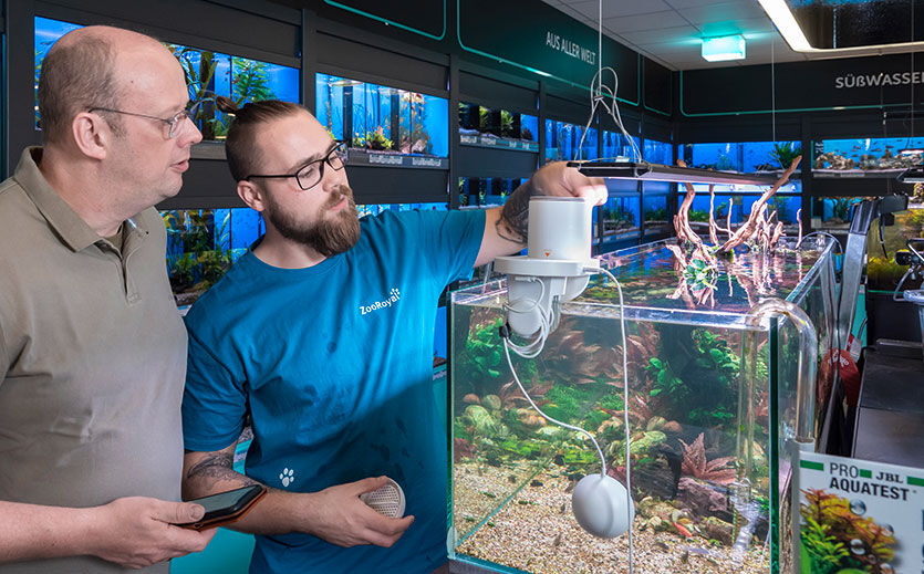 Smarte Lösung für den Urlaub: ein Futterspender, der sich per App steuern lässt – inklusive Kamera.