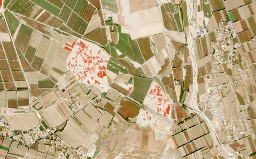 Chinas Tomatenmark-Boom endet abrupt – was dahintersteckt