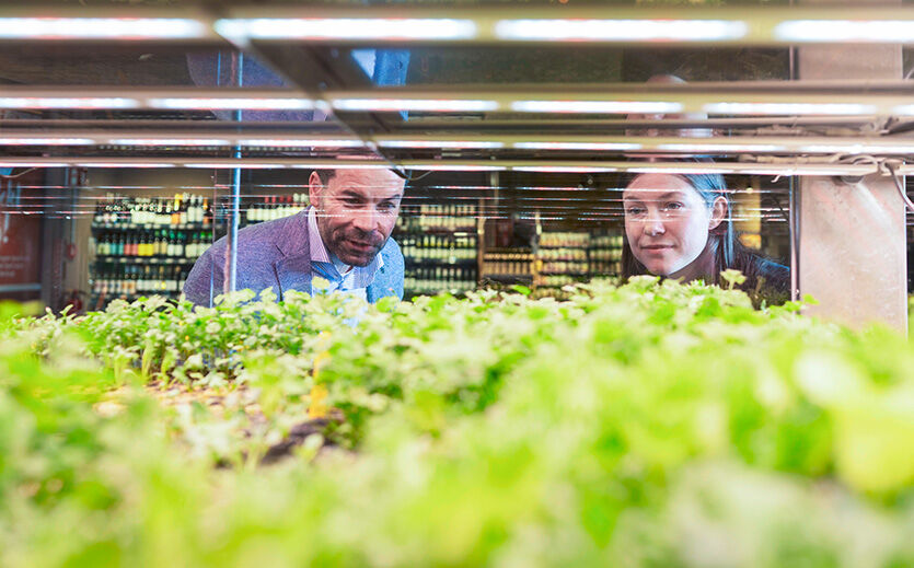 Für Salerno ein Showstopper: Bei Stadler und Honner wächst der Salat im Markt.