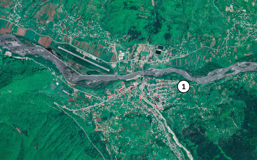 Daher kommen die Weihnachtsbäume