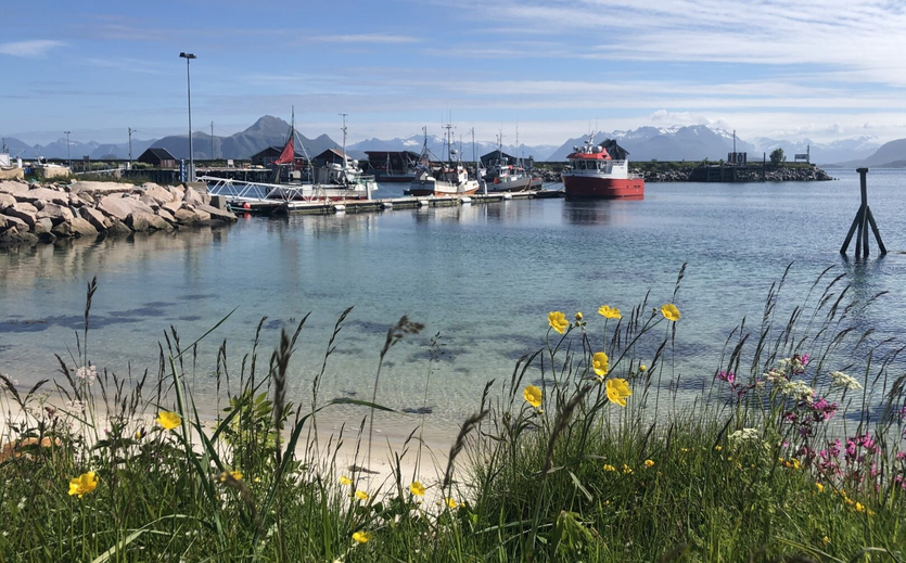 Hafenanlage an der norwegischen Küste.