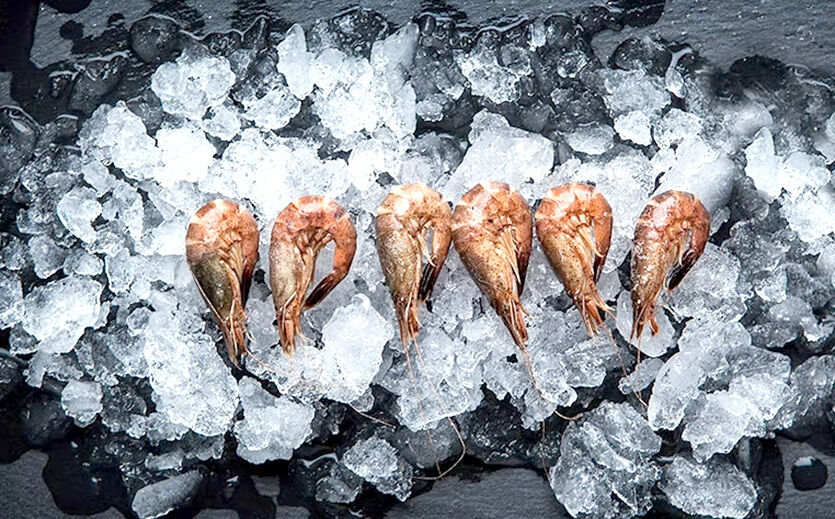 Suempol übernimmt belgischen Garnelenverarbeiter: Garnelen.