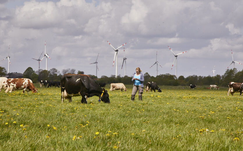 Arla verzeichnet Absatzrückgang bei Markenprodukten