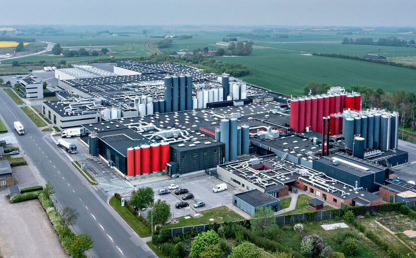 Arla erweitert Frischkäsewerk für 59 Millionen Euro: Das Käsewerk von Arla im dänischen Holstebro.