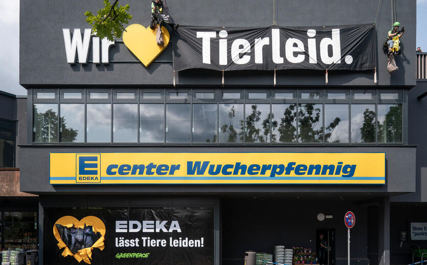 Artikelbild zu Artikel Greenpeace besetzt Edeka-Dach in Hannover
