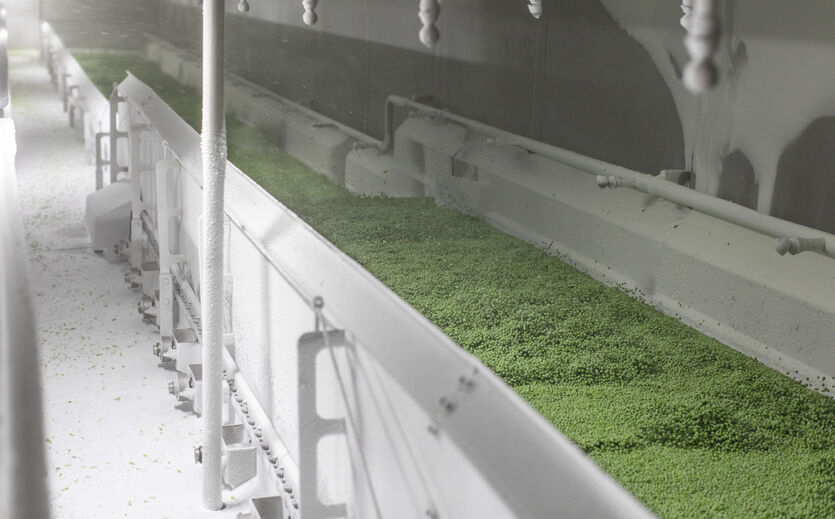 Apetit kauft schwedischen Erbsenproduzenten Foodhills: Ein Produktionsband mit Erbsen.