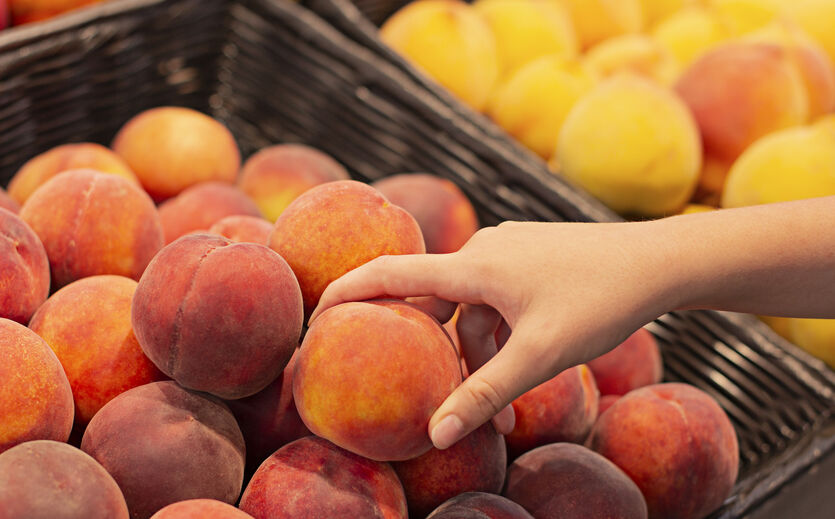 Deutsche Obstbauern setzen auf Aprikosen und Pfirsiche