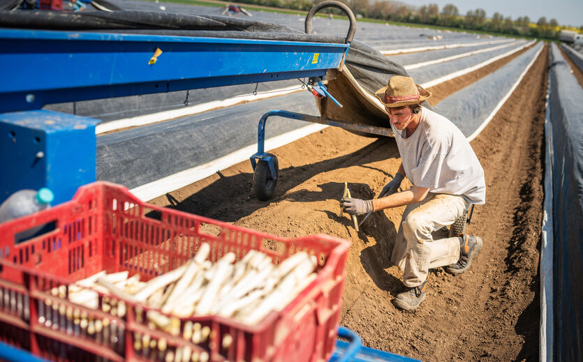 Handels- und Bauernverband rügen Mindestlohnbeschluss