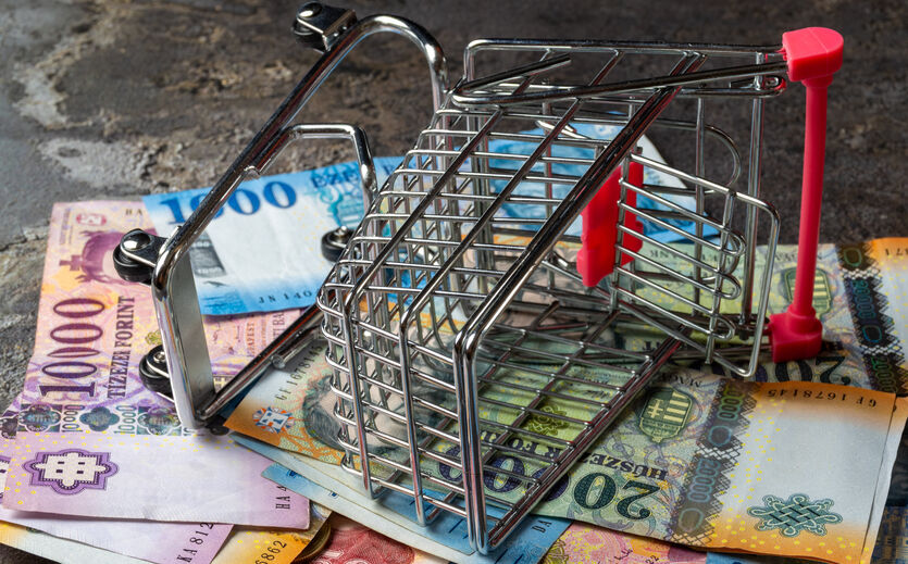 Ungarn fordert Preissenkungen im Lebensmittelhandel: Eine Frau beugt sich über ihr Portemonnaie. Im Einkaufswagen liegen wenige Produkte. 