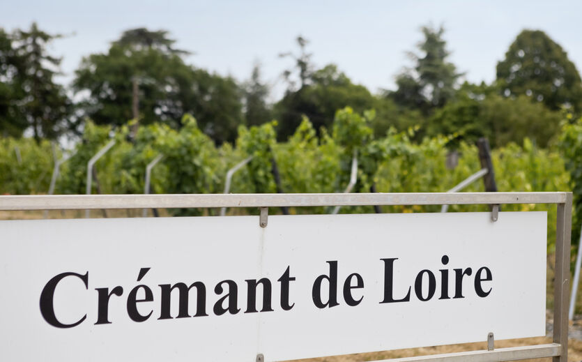 Artikelbild zu Artikel Crémant legt in Deutschland zu