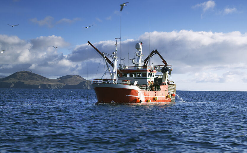 Artikelbild Fortuna übernimmt Ocean Fish Group