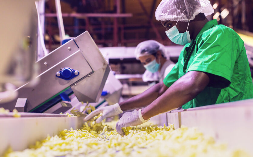 Ernährungswirtschaft in Mecklenburg-Vorpommern: Arbeiterinnen mit Schutzkleidung sortieren Ware an Produktionsstraße für Lebensmittel. 