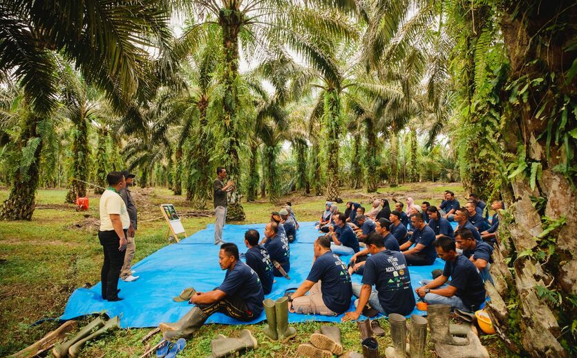 Gruppe von Kleinbauern sitzt auf einer blauen Plane in einer Ölpalmenplantage.