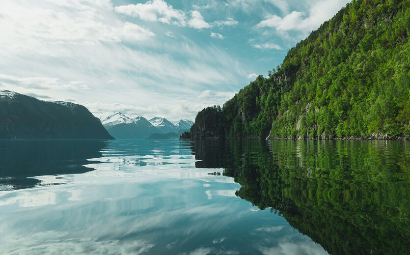 Symrise kooperiert mit norwegischem Lachsverwerter: Ein norwegischer Fjord.
