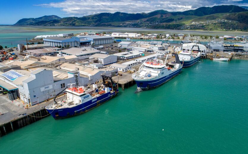 Sealord prüft Schließung der Fischproduktion in Neuseeland: Hafenansicht von Nelson.