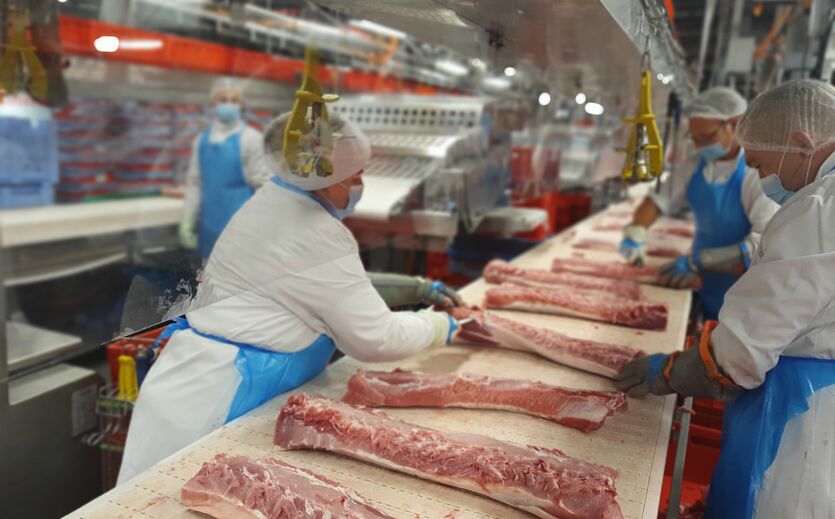 Premium Food Group meldet Fortschritte beim Klimaschutz