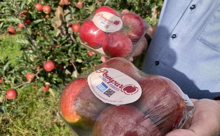 Artikelbild Allergikerfreundliche Äpfel kommen bald in den Handel