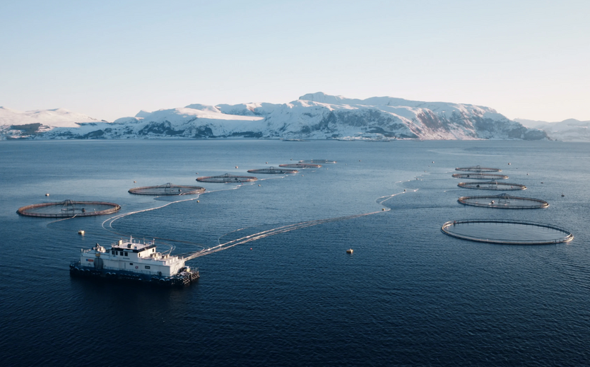 Lachszuchtanlagen im Meer vor der norwegischen Küste.