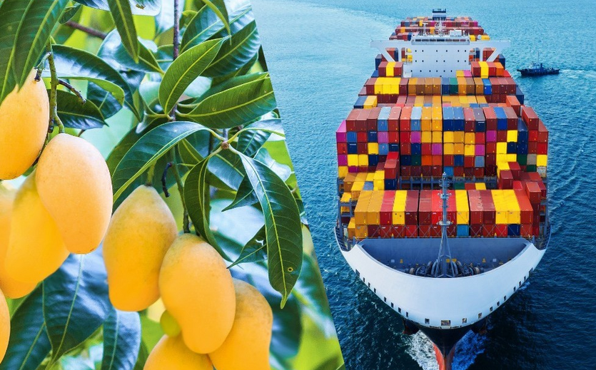 Links Mangos am Baum, rechts ein Containerschiff auf dem Meer.