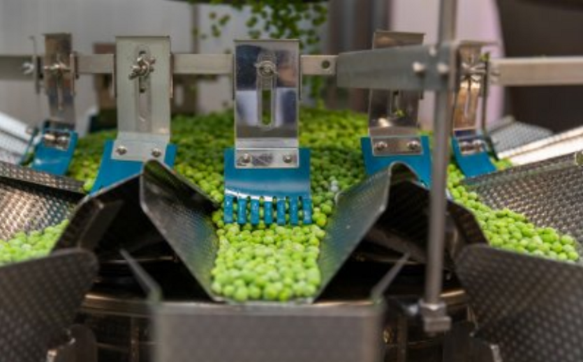 Mehrkopfwaage bei Barba Stathis.