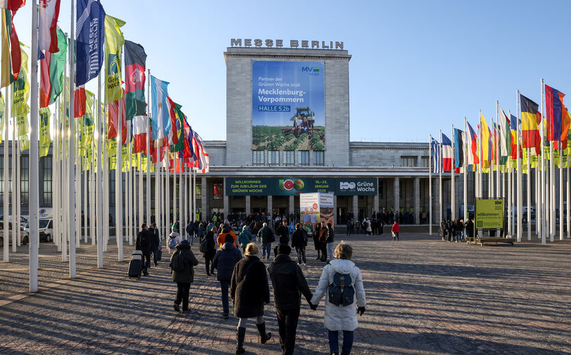 Artikelbild 350.000 Besucher auf der Grünen Woche
