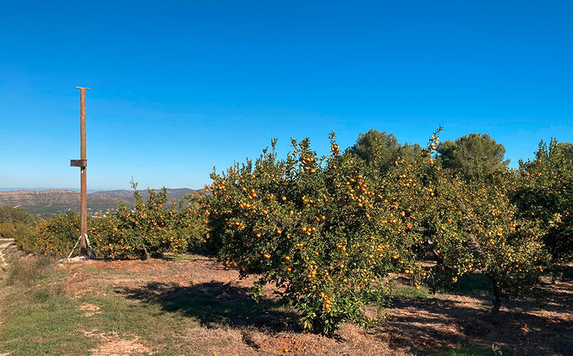 Mehr Daten, weniger Pestizide: Wie WWF und Edeka kooperieren