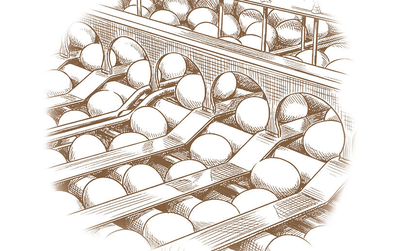 Vom Regenwald ins Osternest – wie ein Avocado-Drink zum Eierlikör wurde