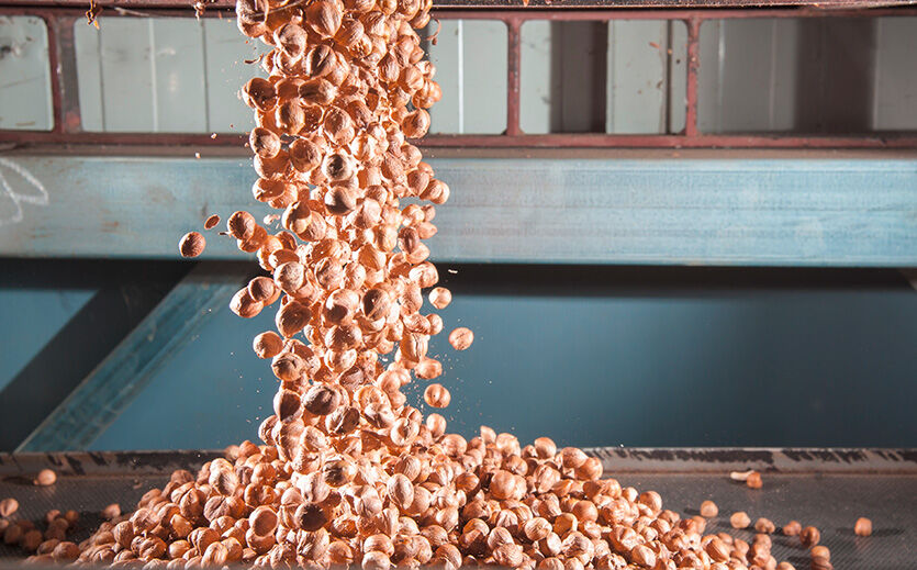 Artikelbild Viele Süßwarenhersteller sind Mittelständler – so geht es Ihnen