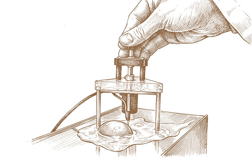 Die Lebensmittelhygiene-Verordnung schreibt vor, was ein Betrieb, der mit rohen Eiern arbeitet, testen muss. Wichtig ist die Suche nach Salmonellen und anderen Bakterien. Ebenfalls Standard ist der Frische-Check: Hier wird die Höhe des Eiklars in Relation zum Gewicht gemessen. Je höher und fester das Eiweiß, desto frischer das Ei. Da der Likör seine gelbe Farbe primär aus dem Dotter bezieht, wird dieser mit einer Farbskala (Fächer) abgeglichen. Ebenfalls werden die angelieferten Eier auf Medikamentenrückstände oder Insektizide getestet, um die Reinheit der Güteklasse A zu garantieren. 