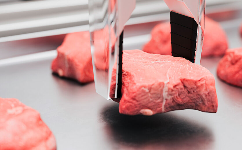 Artikelbild zu Artikel Die Laborfleisch-Revolution – Cell-based wird bezahlbar