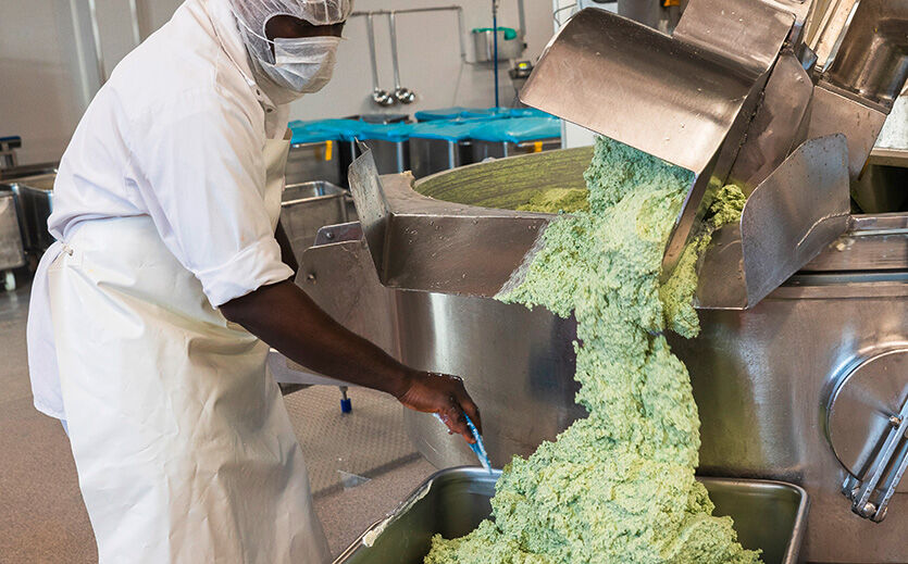 Zunächst stellen die Mitarbeiter die Füllung für die Pasta-Rustica-Tortelloni her. Hierzu mischen sie Spinat, Ricotta und Bindemittel in einem Kutter.