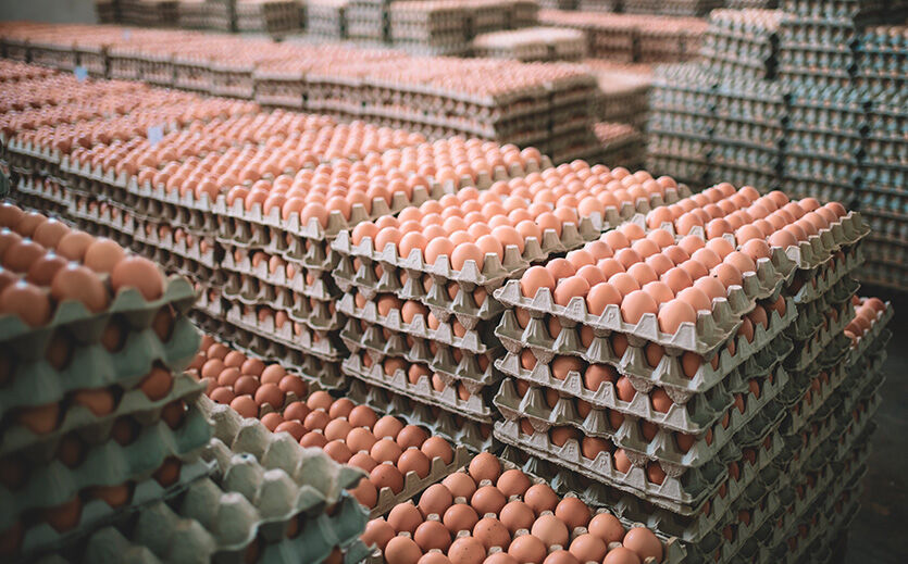 Artikelbild Deutschen Händlern fehlen im Ostergeschäft Import-Eier 