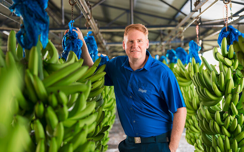 Befürworter konventioneller Züchtung: Peter Stedman, Chiquita-Nachhaltigkeitsexperte