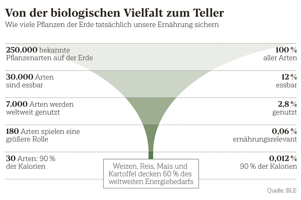 Wie viele Pflanzenm unsere Ernährung sichern
