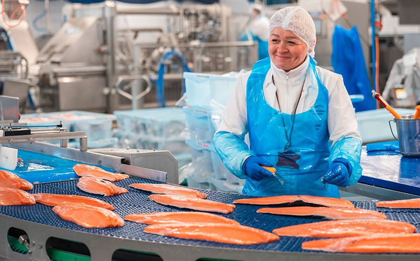 Räucherlachs in nur zwei Tagen – vom Frischfisch zum Feinkostprodukt