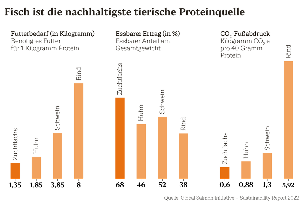 Tierische Proteinquellen im Vergleich