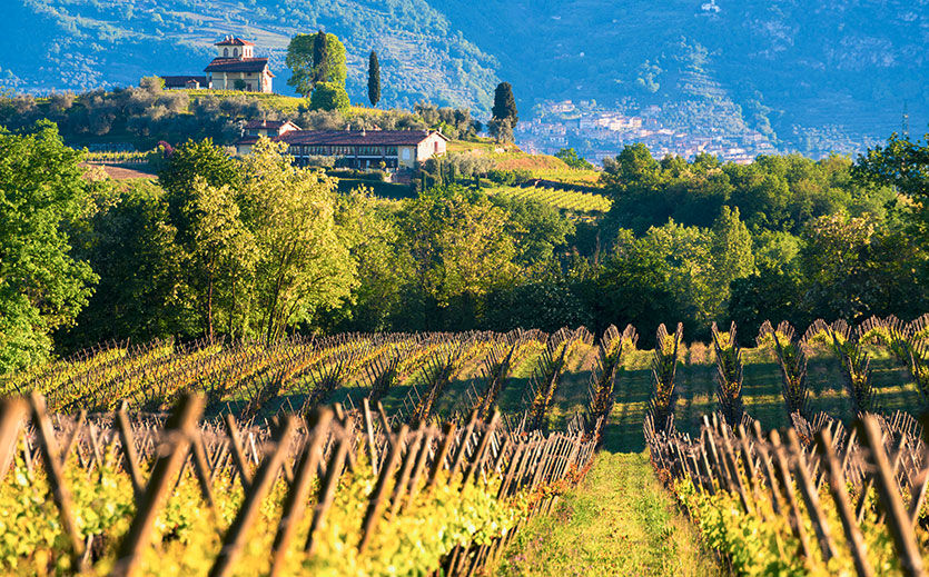Franciacorta – die italienische Premium-Alternative zu Champagner