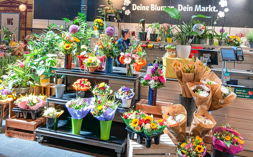 Rewe Ackerhalle
