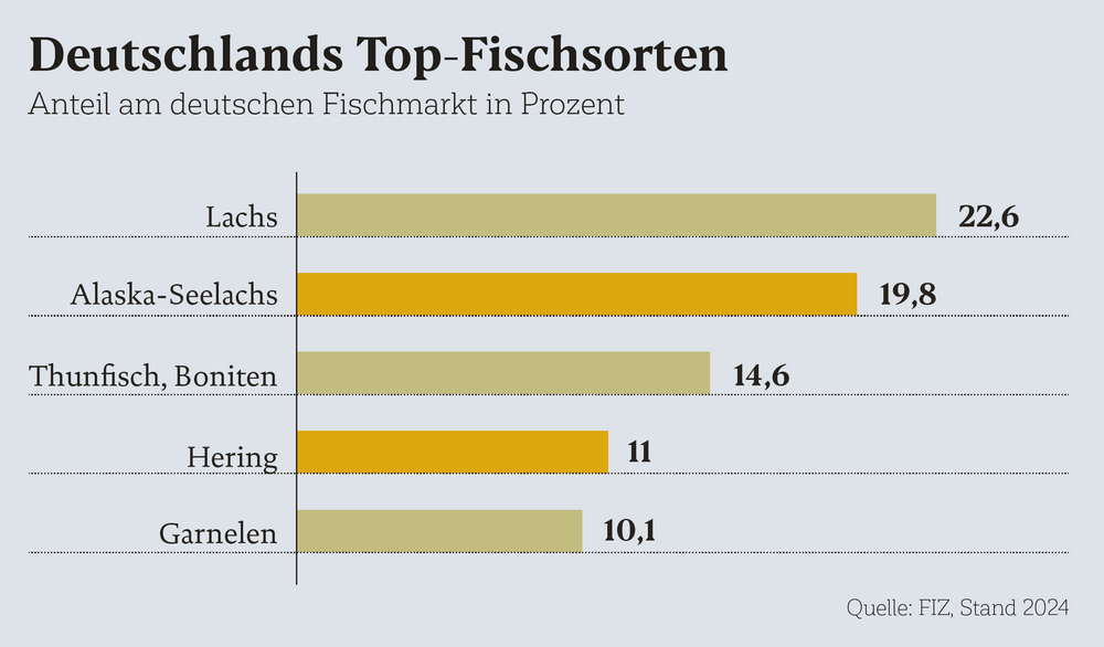 Deutschlands Top-Fischsorten