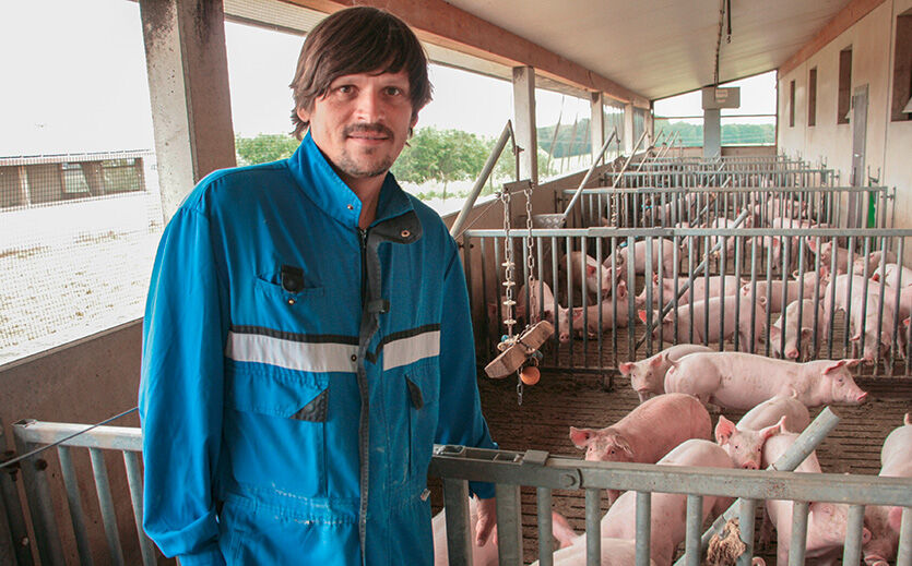Artikelbild Vom Stall bis zur Fleischtheke – so setzt Kaufland gemeinsam mit Landwirten mehr Tierwohl um